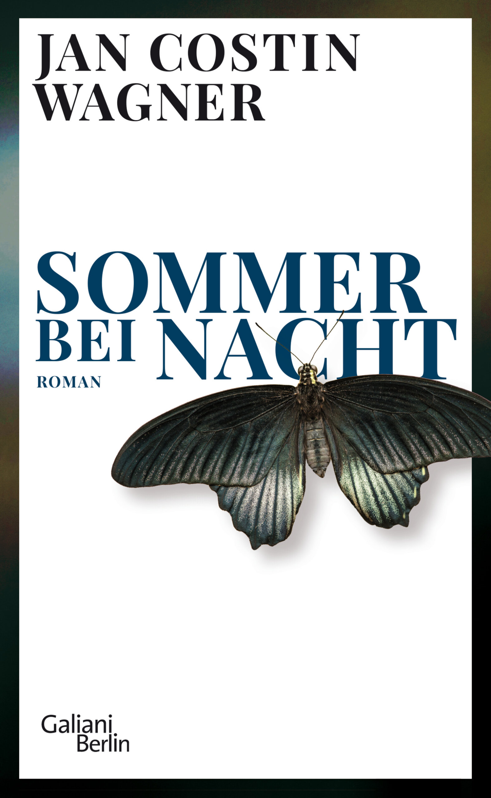 Cover: Sommer bei Nacht