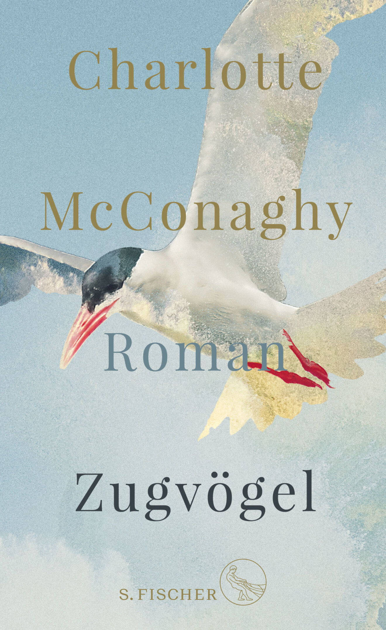 Cover: Zugvögel